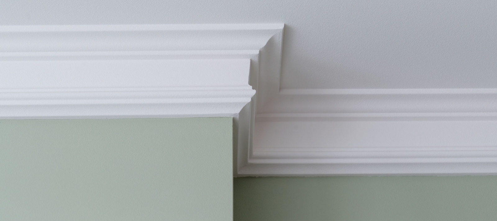 From Tall to Hanging: How Houseplants Solve High Ceiling Dilemmas