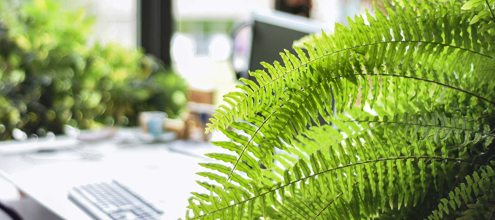 Humidity, The Easy Way