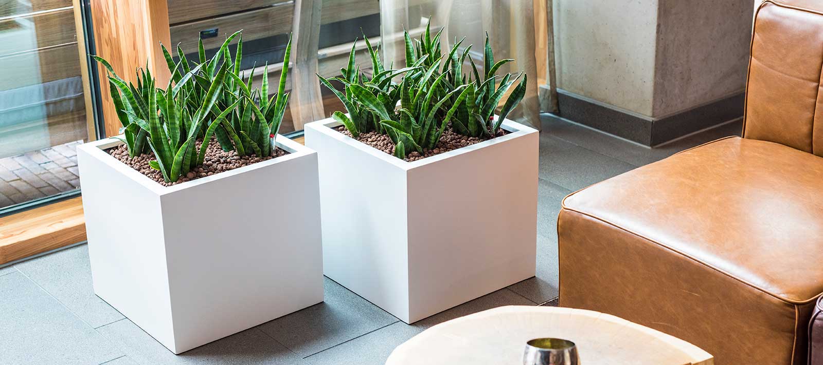 HydroCare Houseplants - The Ultimate In Easy Care Indoor Plants