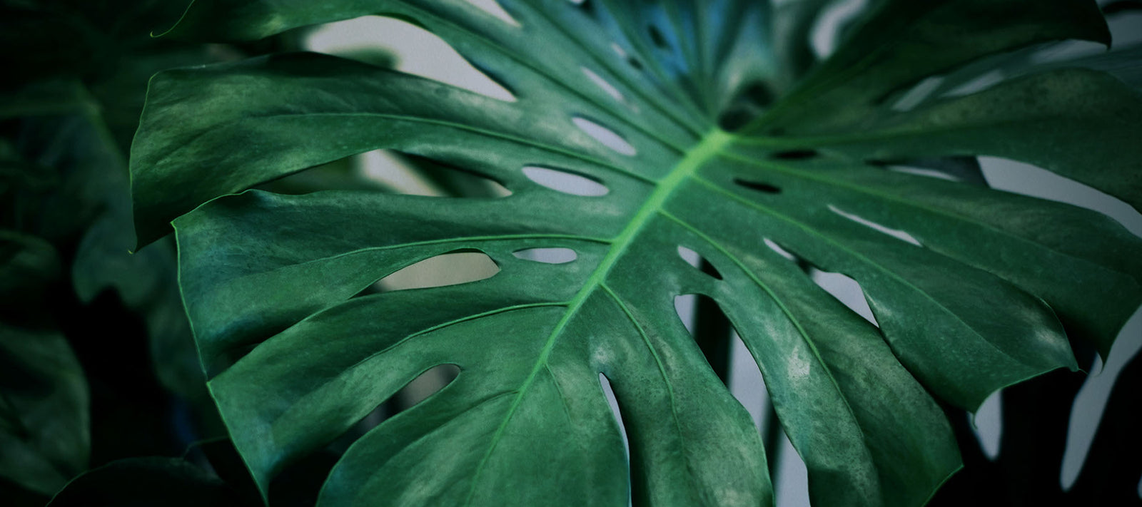 STYLING / Accessorising Rooms With Limited Natural Light