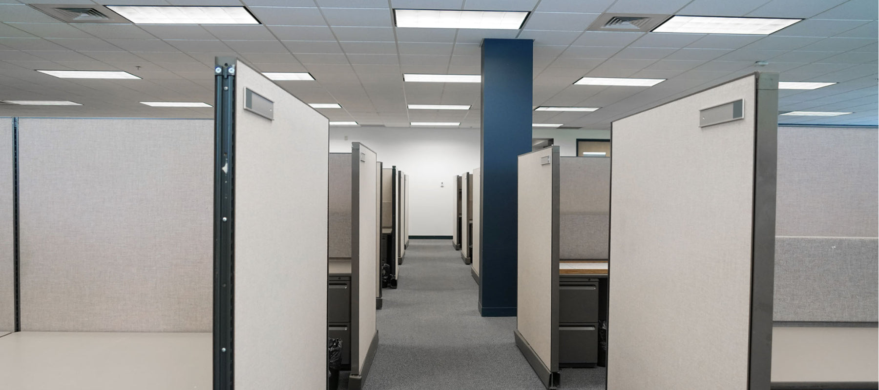 Surviving A Windowless Office – Indoor Plants For Artificial Light