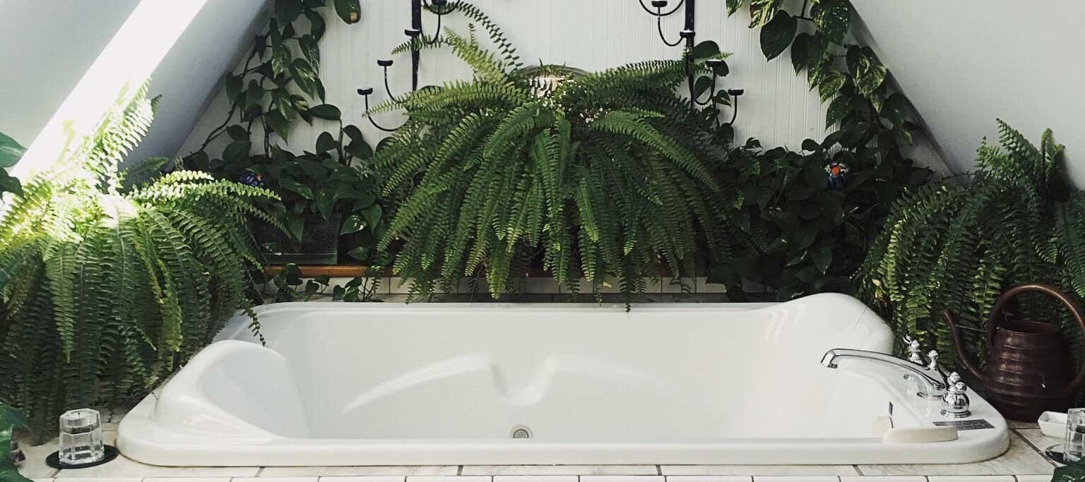 Soaking Up Steam In The Bathroom