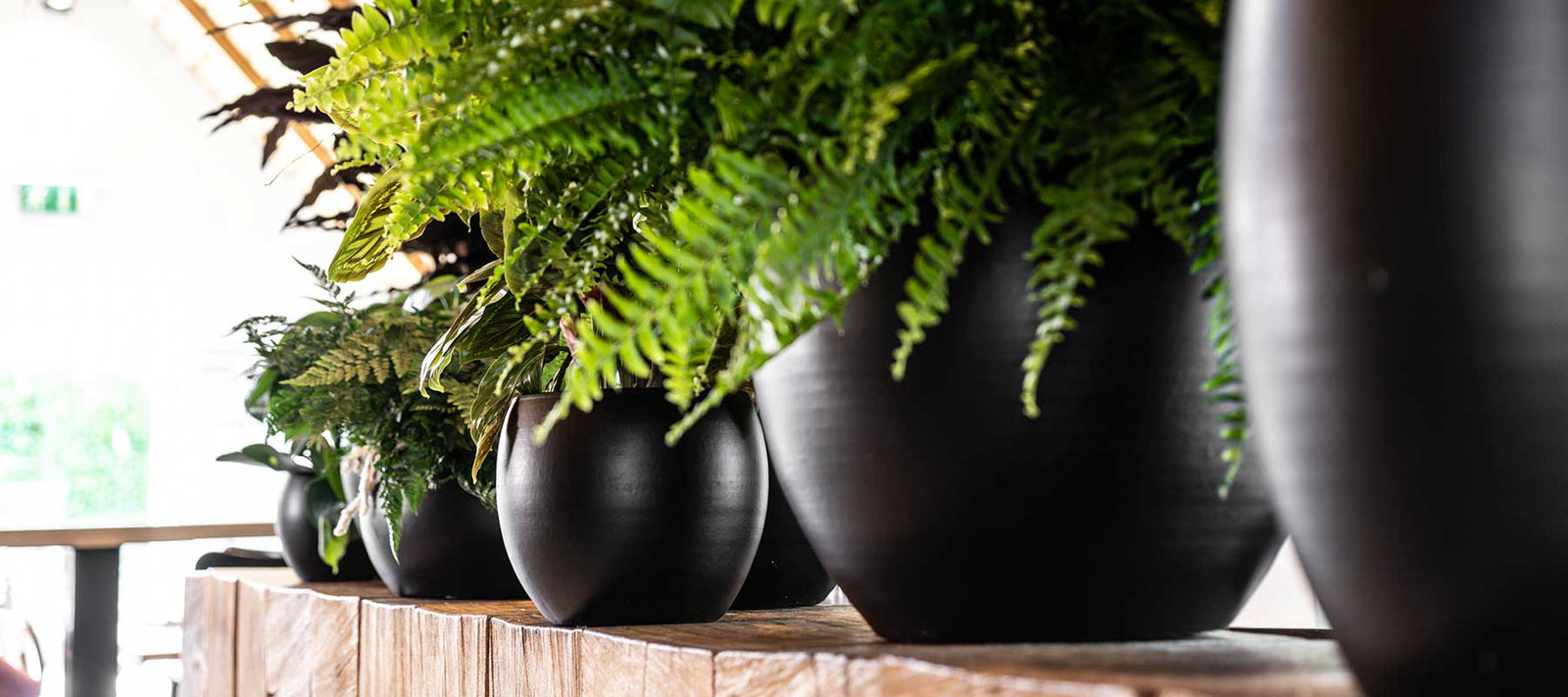 Pot Aces for Awkward Spaces