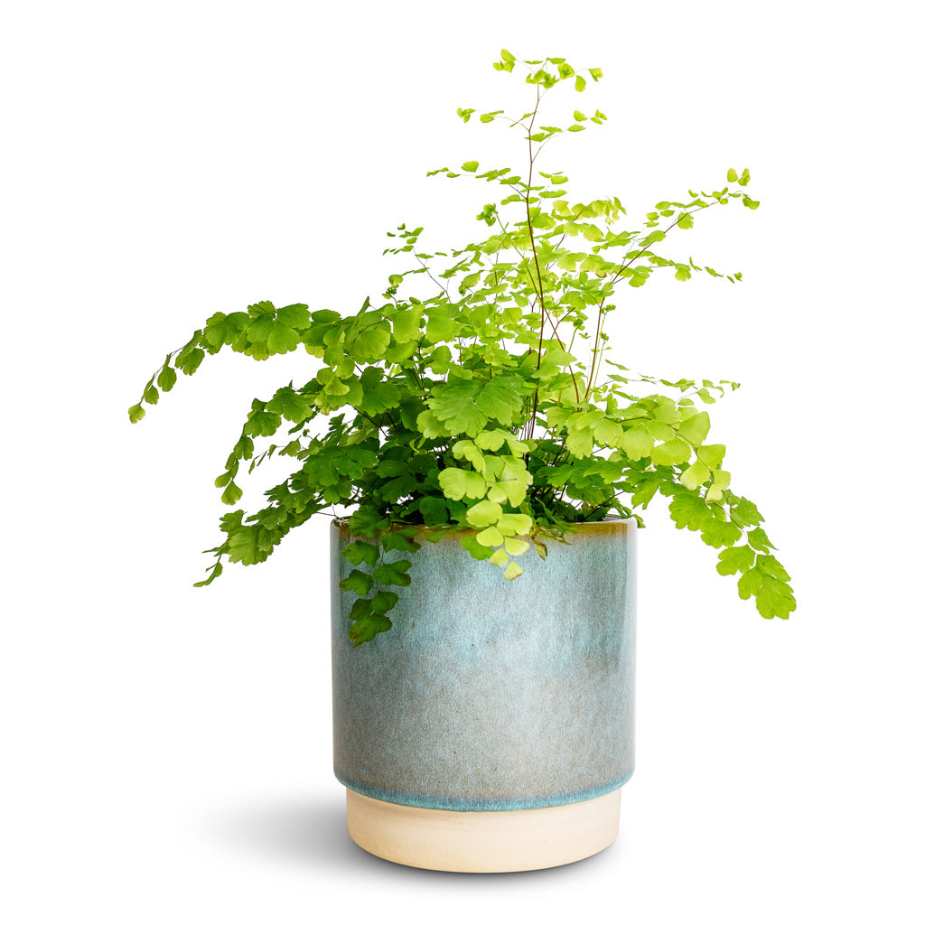 Copenhagen Plant Pot - Aqua - 13.5 x 14cm
