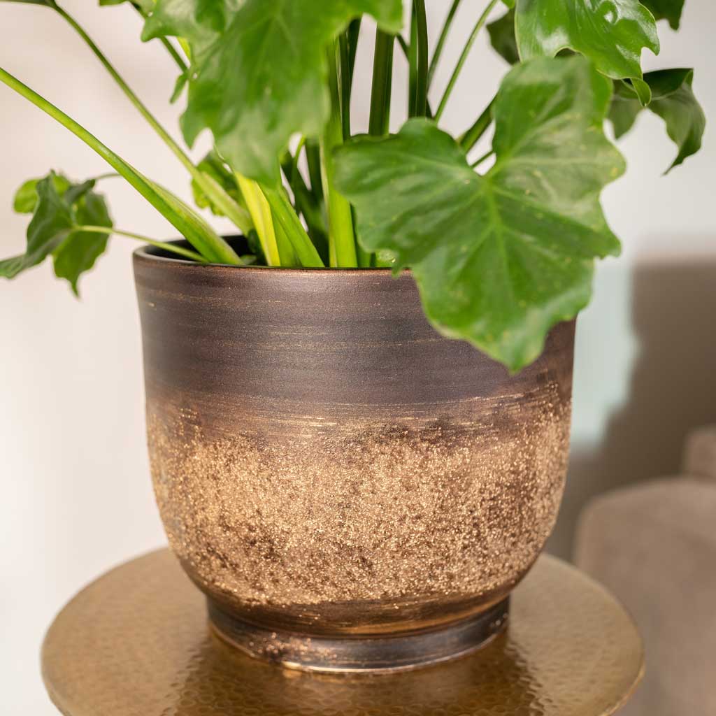 Aico Plant Pot - Shiny Brown On Bronze Table Top