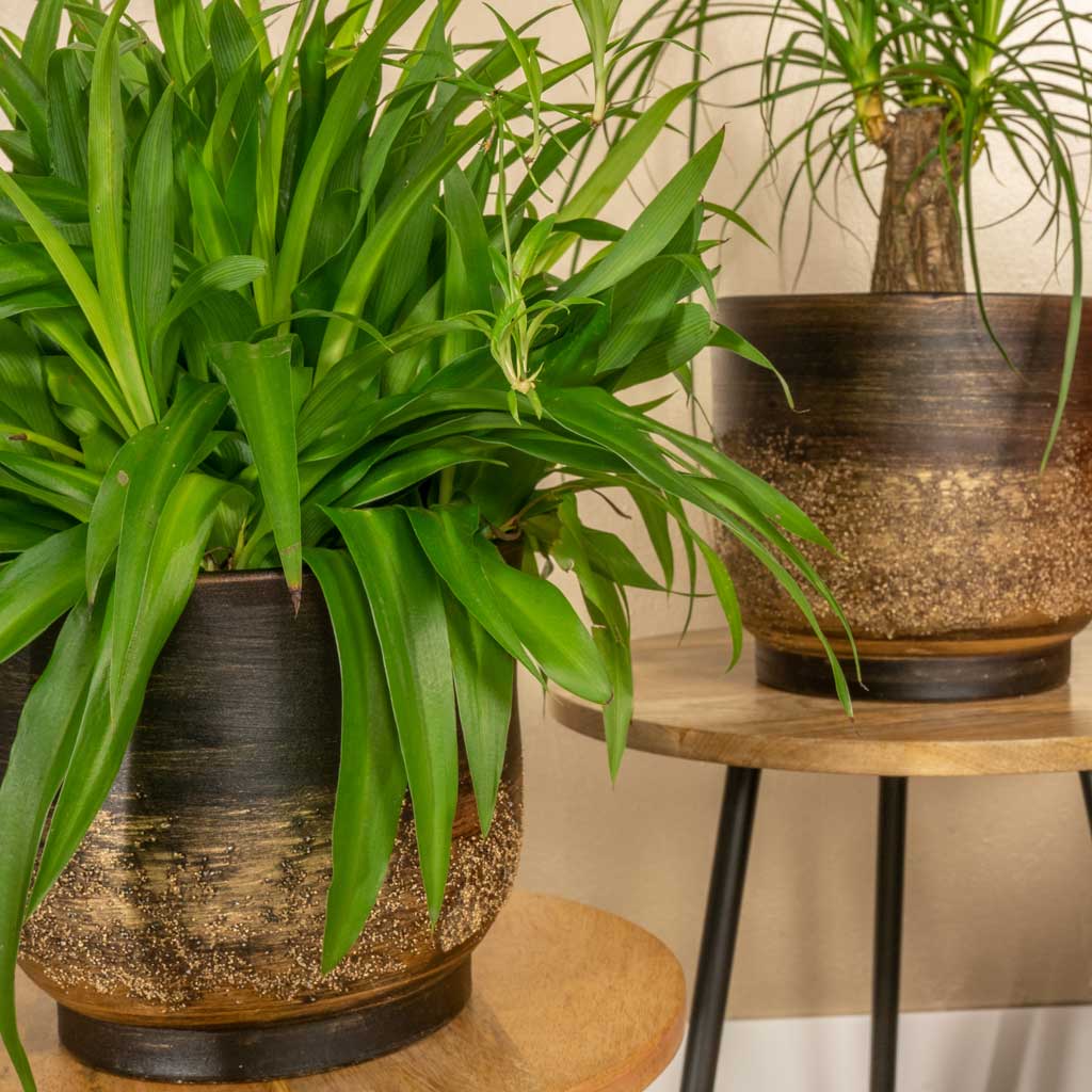 Aico Plant Pot - Shiny Brown Pair