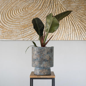 Aily Plant Pot - Earth Cement & Philodendron