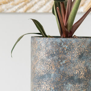 Aily Plant Pot - Earth Cement Close Up
