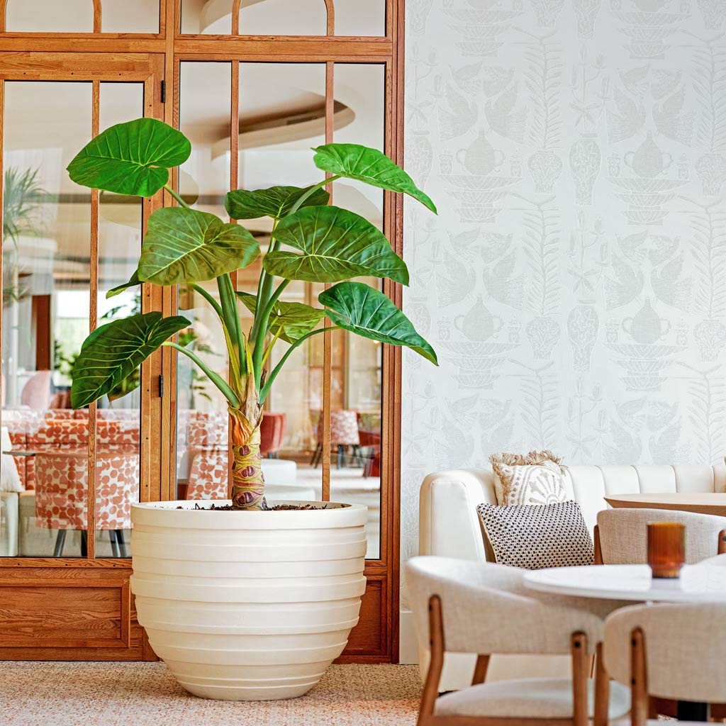 Alocasia Artificial In Charlotte Pot Green