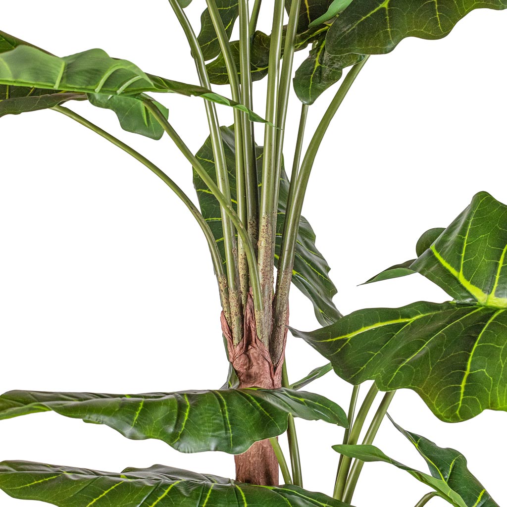 Alocasia Giant Tree Artificial Stems + Leaves 