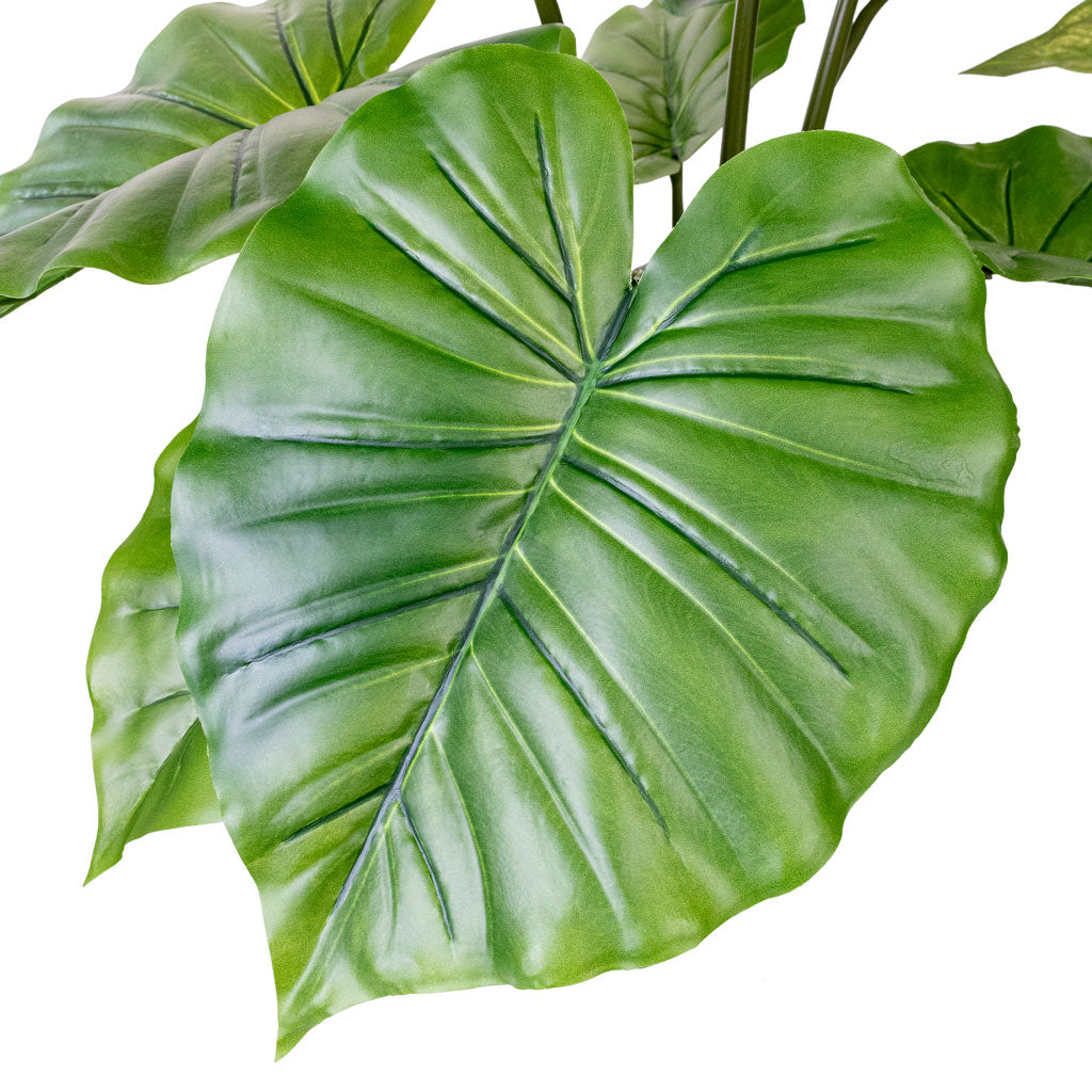 Alocasia Portodora Upright Elephant Ear Potted Artificial Close up