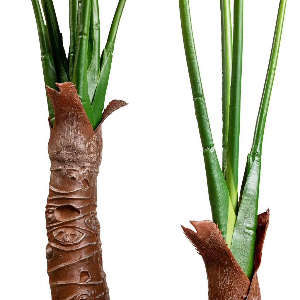 Alocasia Tree Artificial Close Up Of Trunks 