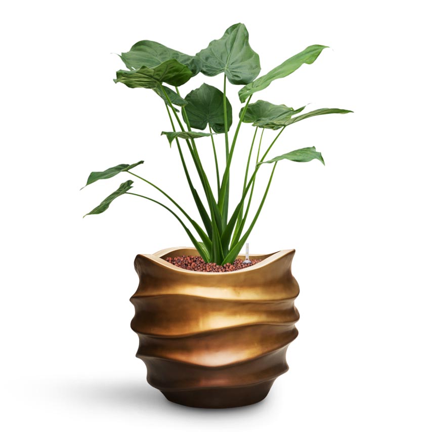 Gradient Lee Couple Planter - Matt Honey L
