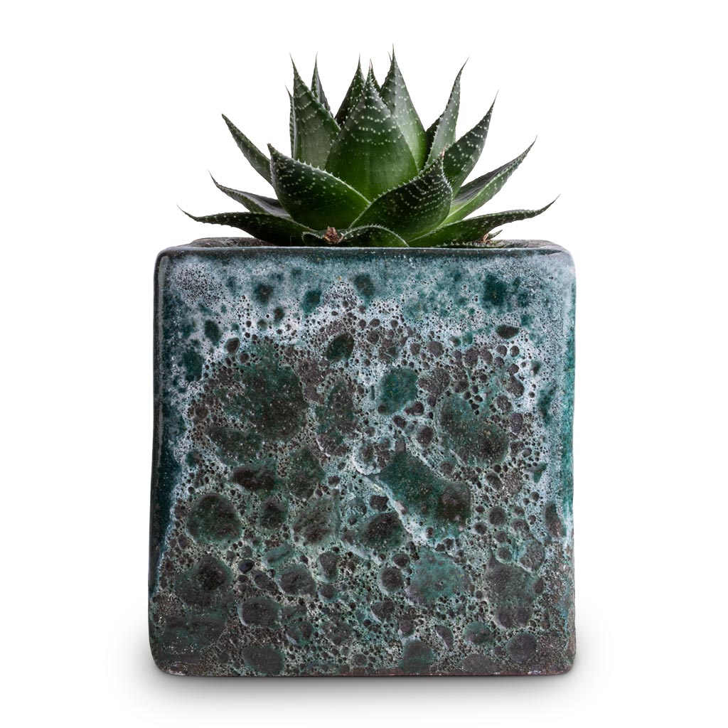 Lava Cube Relic Planter Jade
