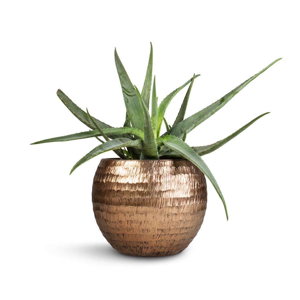 Opus Hammered Globe Planter Gold