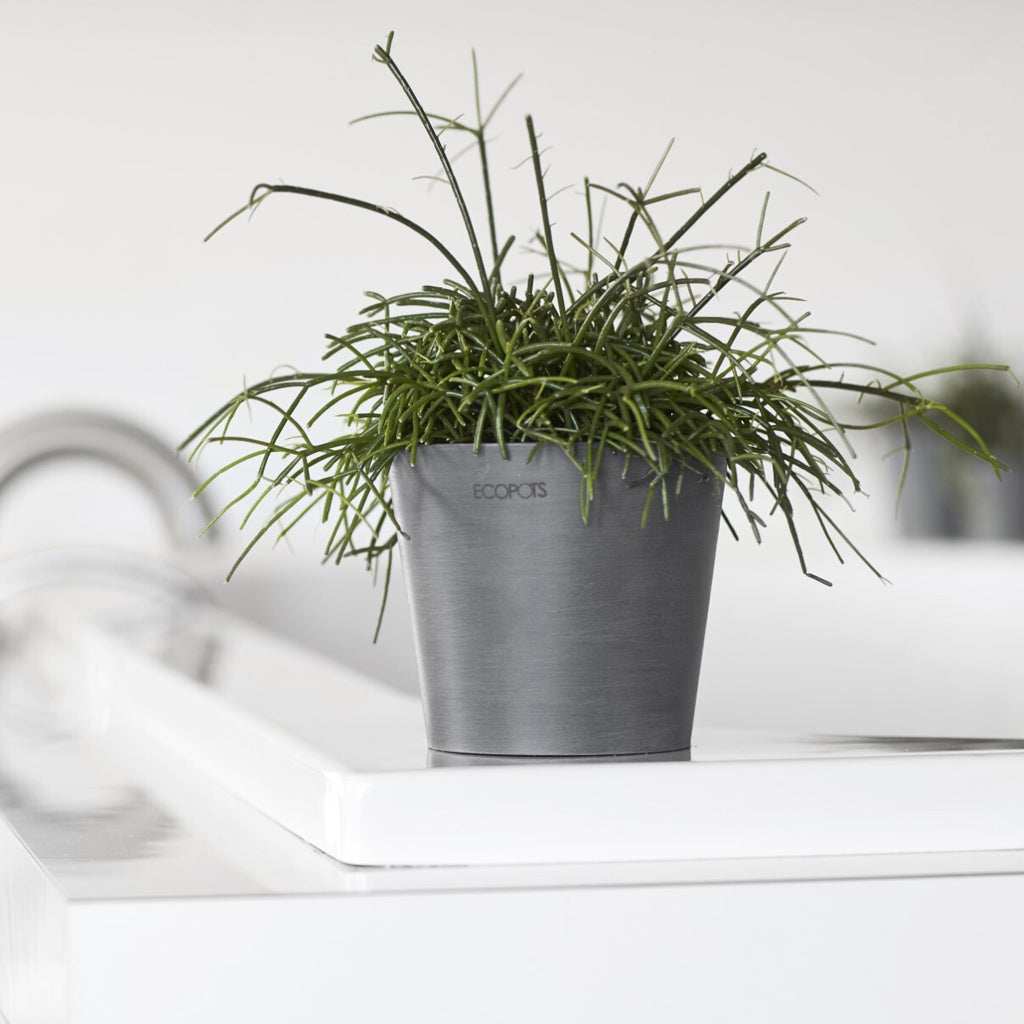 EcoPots Amsterdam - Grey - Plastic Plant Pots Mini 