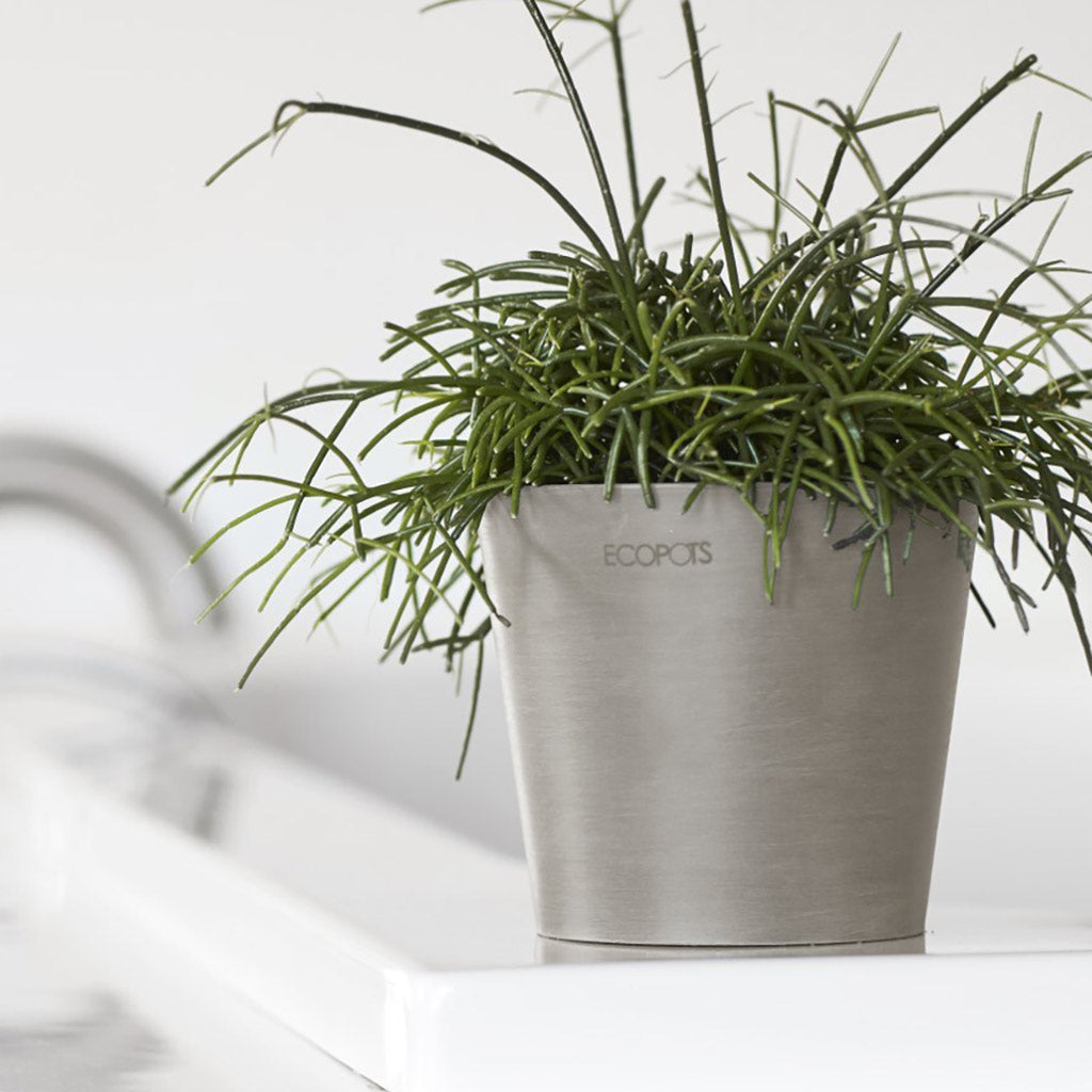 EcoPots Amsterdam - Grey - Plastic Plant Pots Mini 