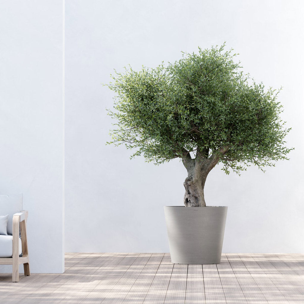 Amsterdam Bucket Planter Taupe 50x44cm