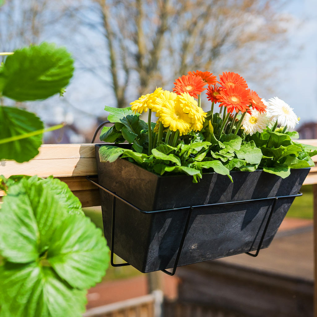 ella-artstone-balcony-trough-planter-black-hortology-hortology