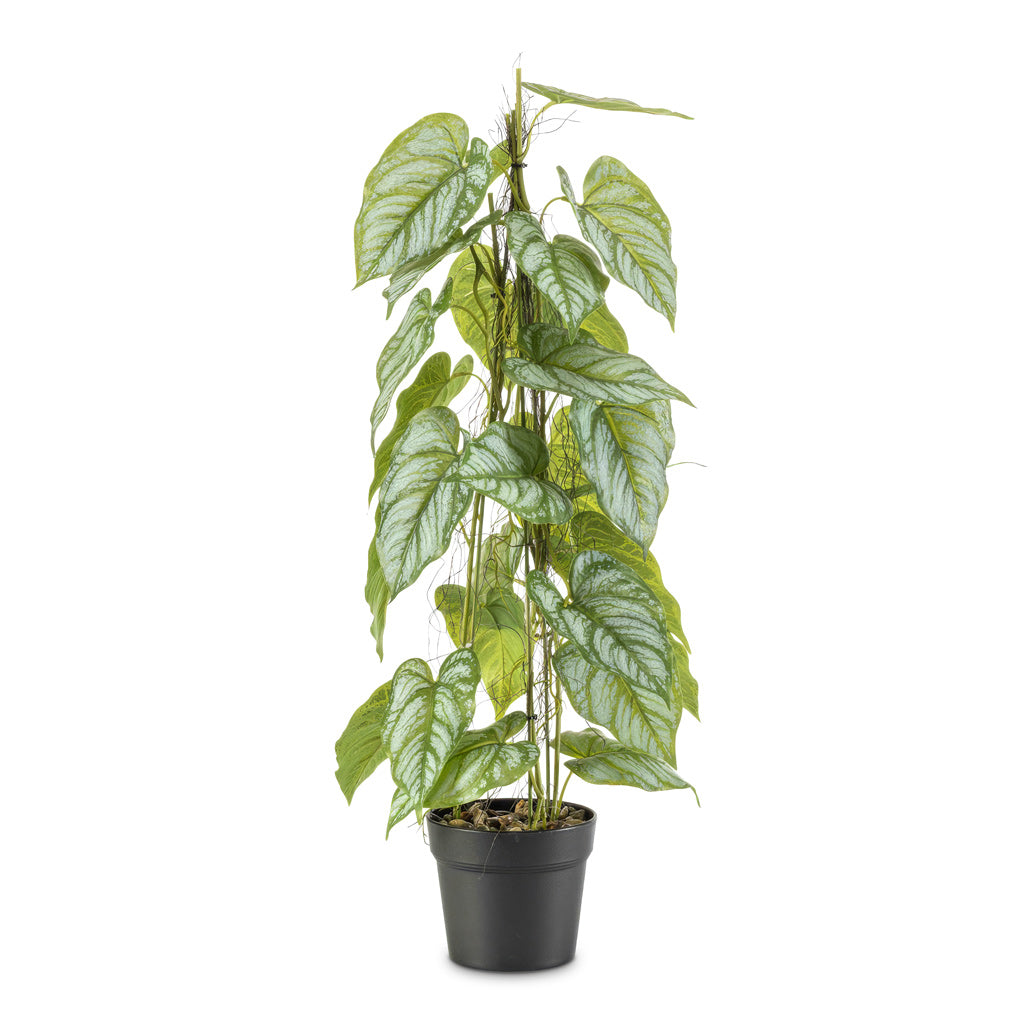Anthurium Pyramid Potted 80cm Artificial
