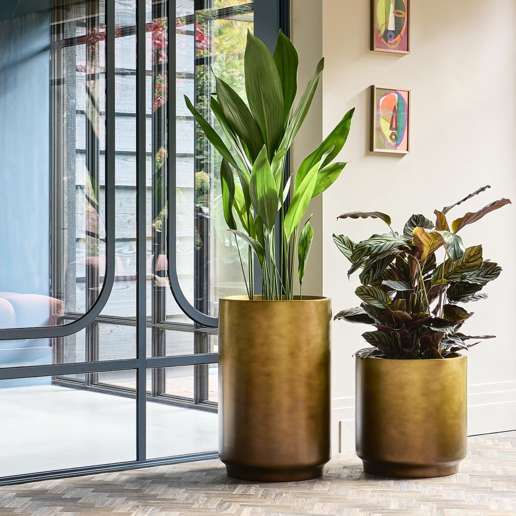 Gradient Cylinder Planter Matt Honey 40x40cm