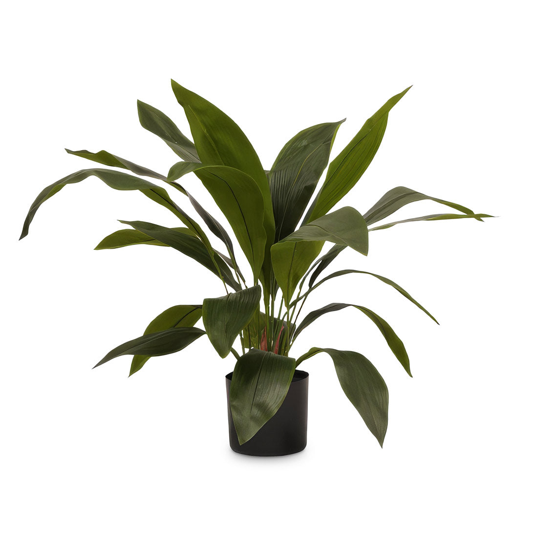 Aspidistra Cast Iron Potted 70cm Artificial
