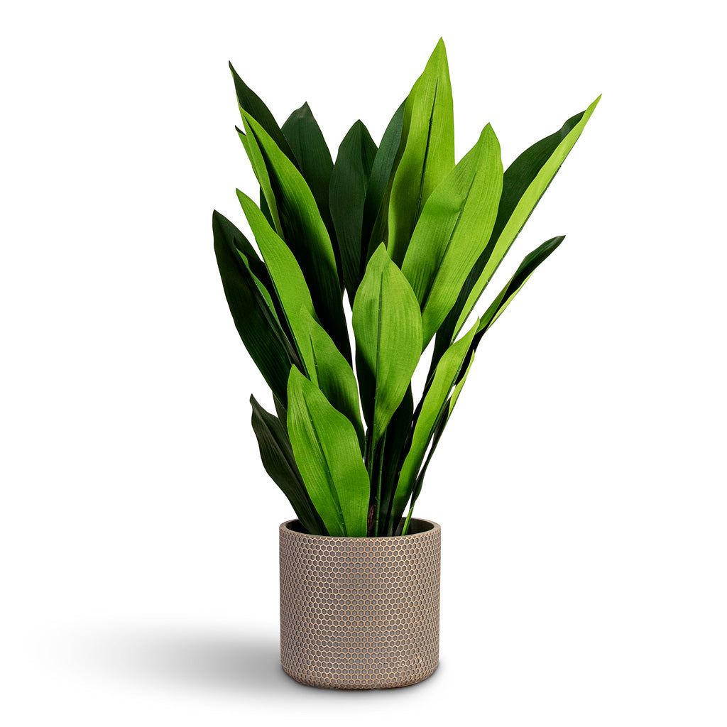 Aspidistra Cast Iron Potted Artificial 70cm House Plant In Bernt Pot Shiny Gold 21x19cm