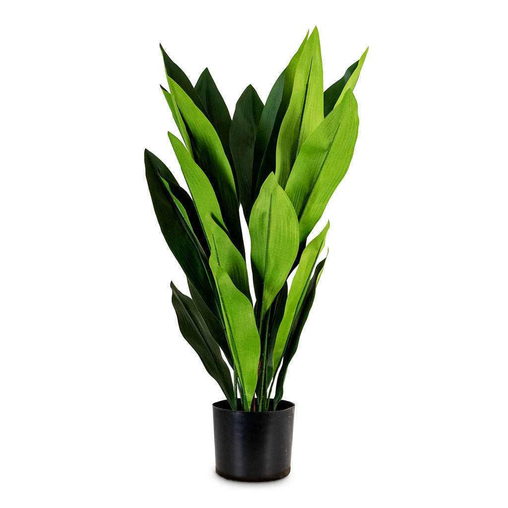Aspidistra Cast Iron Potted Artificial 70cm