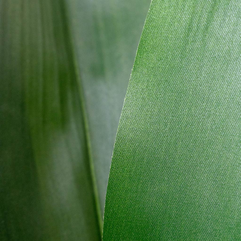 Aspidistra Cast Iron Potted Artificial Close up