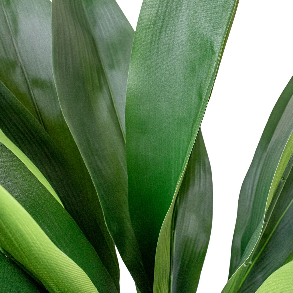Aspidistra Cast Iron Potted Artificial Close up