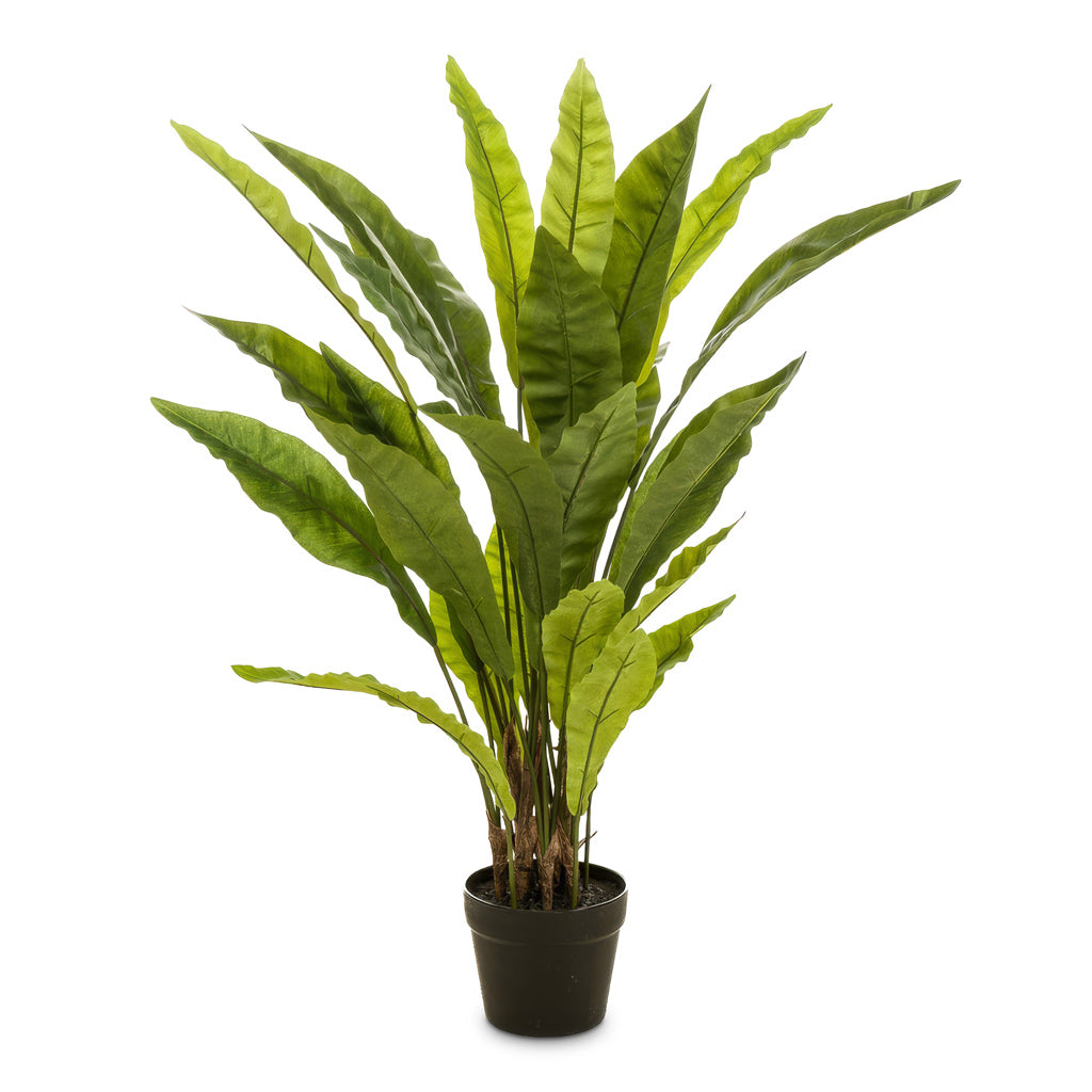 Asplenium Fern Potted 90cm Artificial