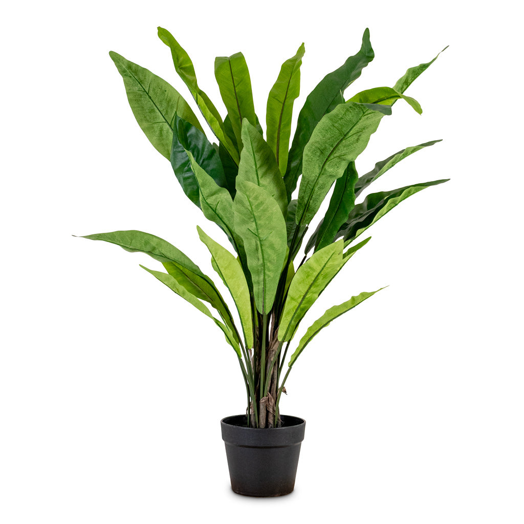 Asplenium Fern Potted Artificial 90cm House Plant In Raindrop Couple Balloon Planter Stone 22x22cm
