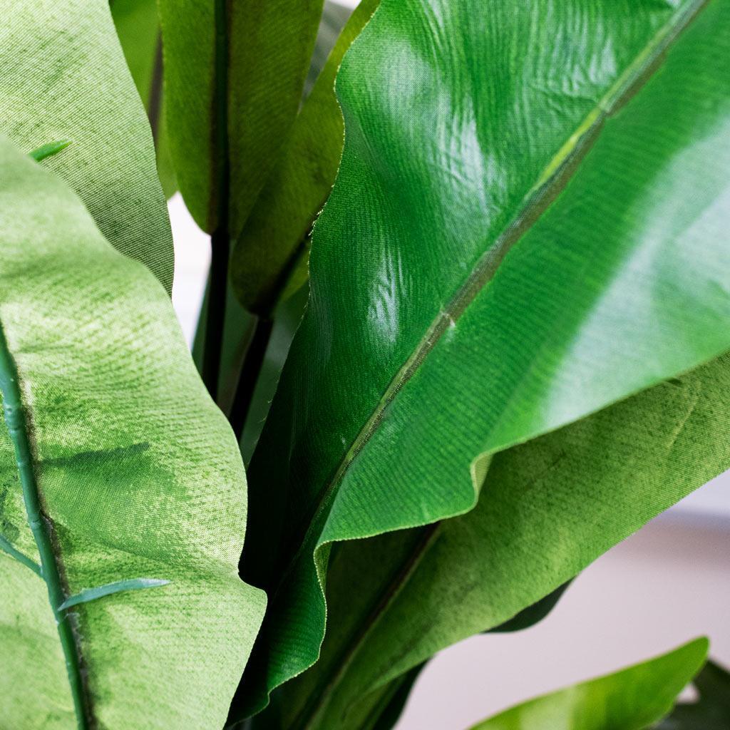 Asplenium Fern Potted Artificial Close up