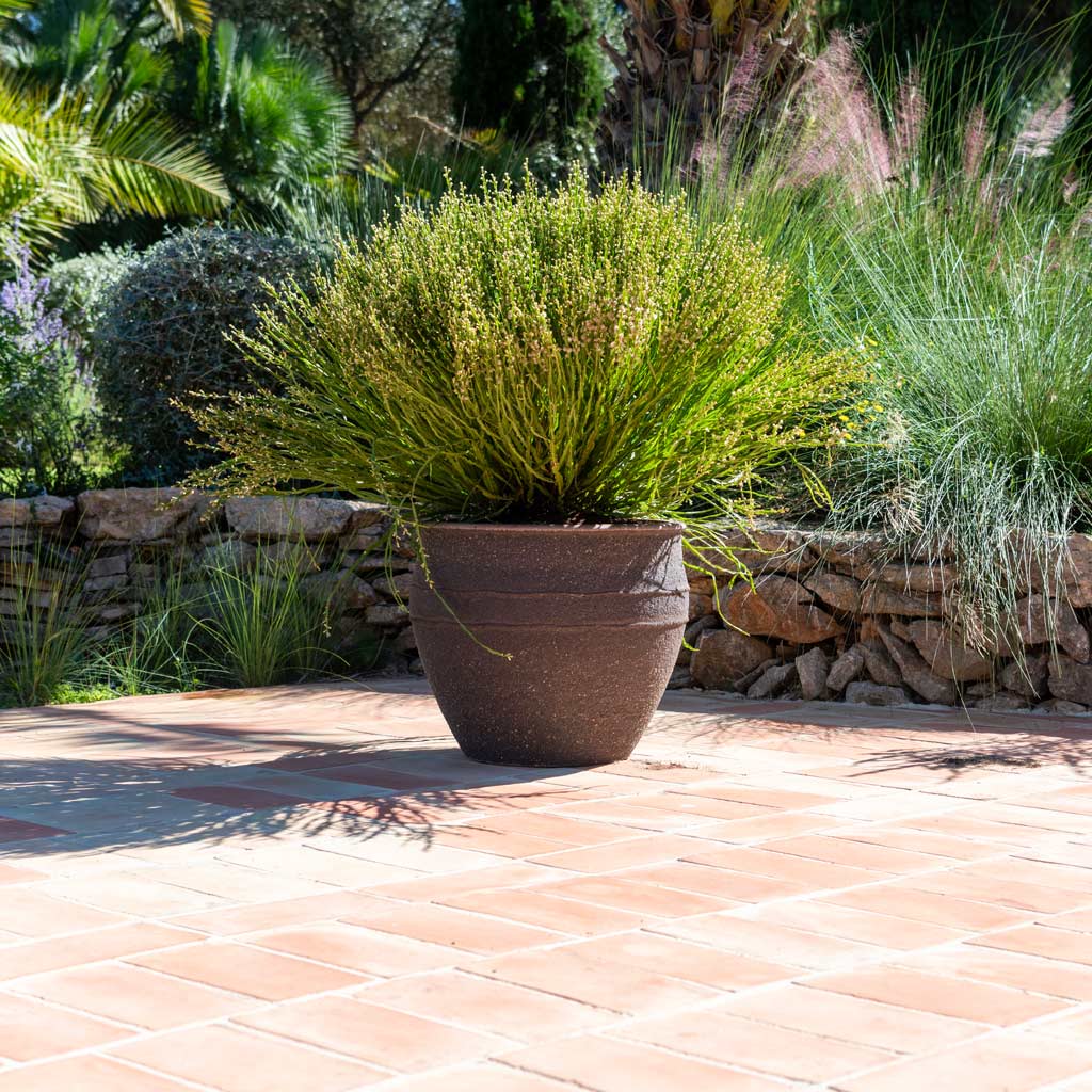 Athena Mediterranean Planter Umber Brown With Outdoor Plants