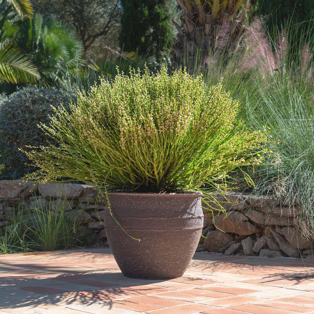 Athena Mediterranean Umber Brown Planter On Patio