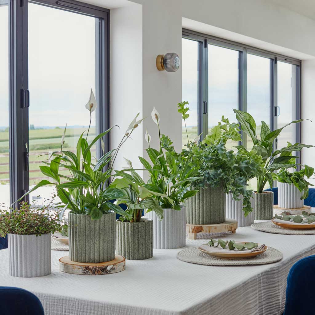 Azalea Ribbed Plant Pot - Speckled Grey Stone & Green On Table