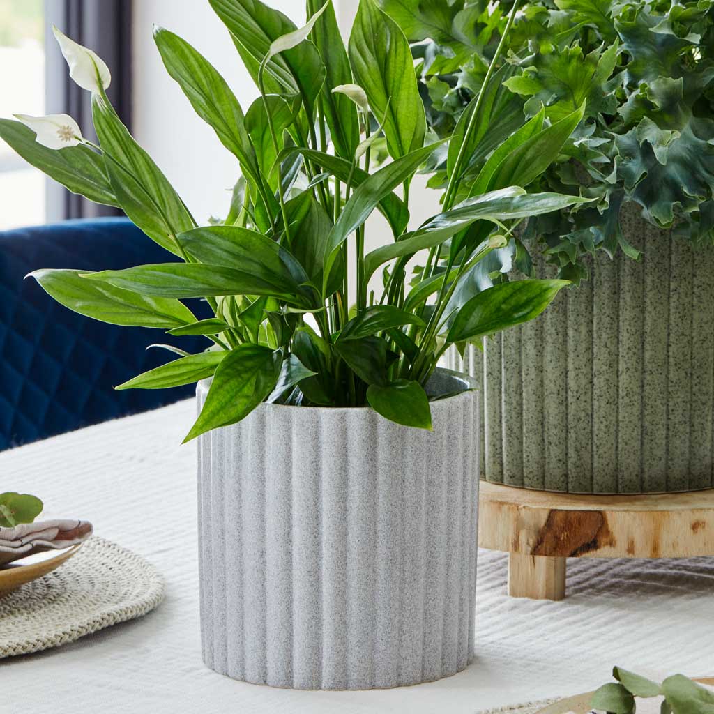 grey indoor plant pots Azalea Ribbed Plant Pot - Speckled Grey Stone | Hortology