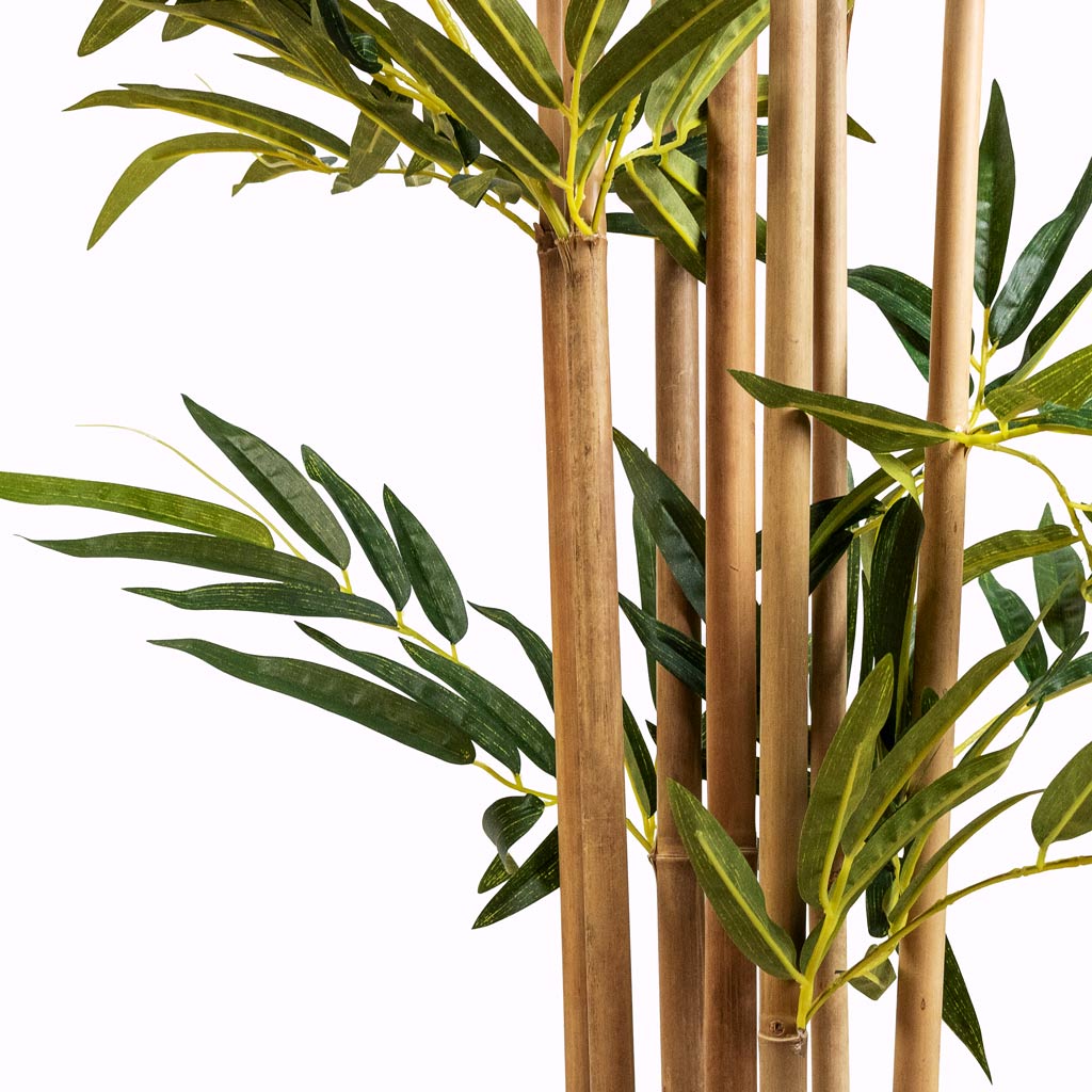 Bamboo Artificial Close Up Of Stems