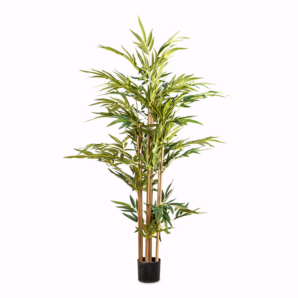 Bamboo - Artificial