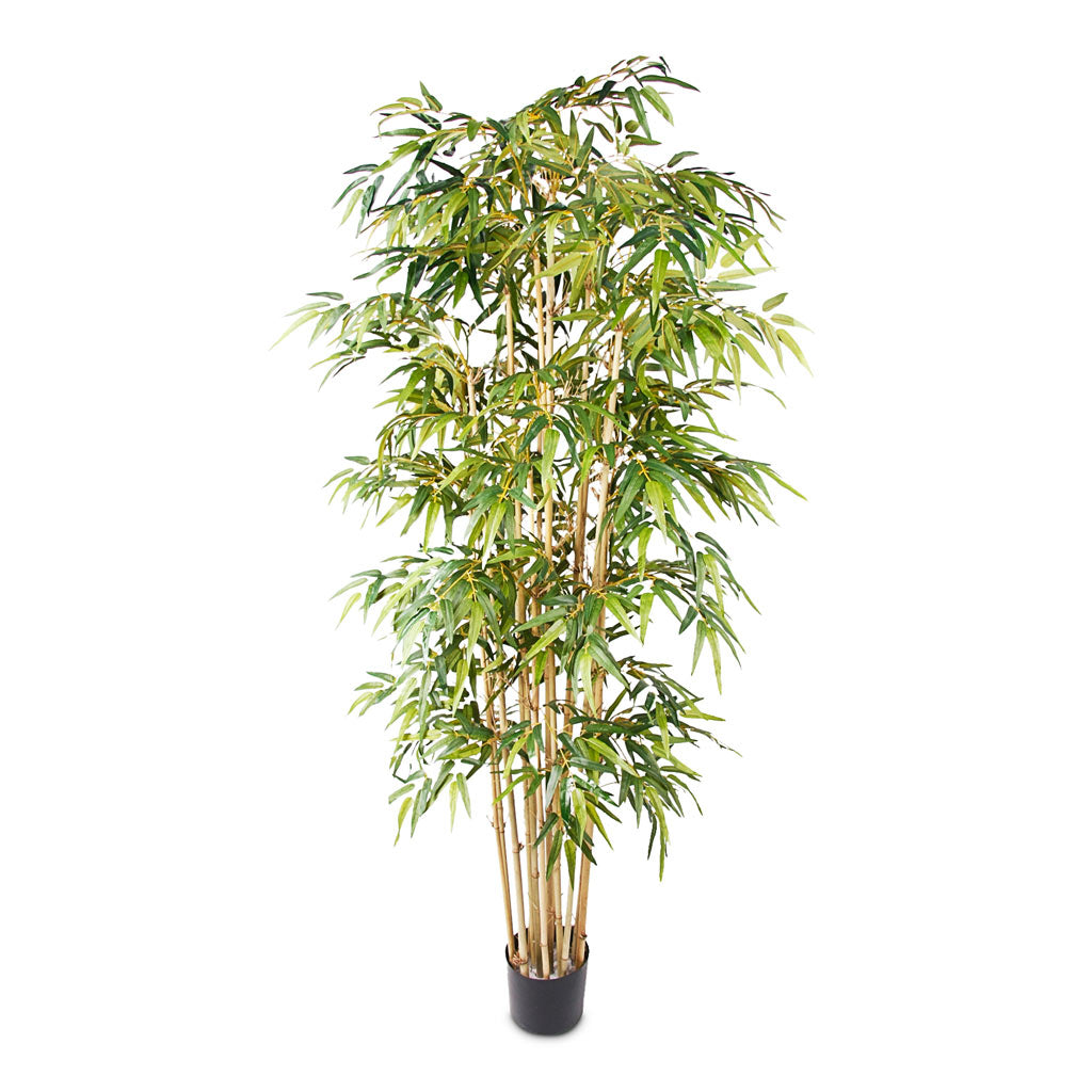 Bamboo Deluxe - Artificial Plant - 205cm - (15 Stems)