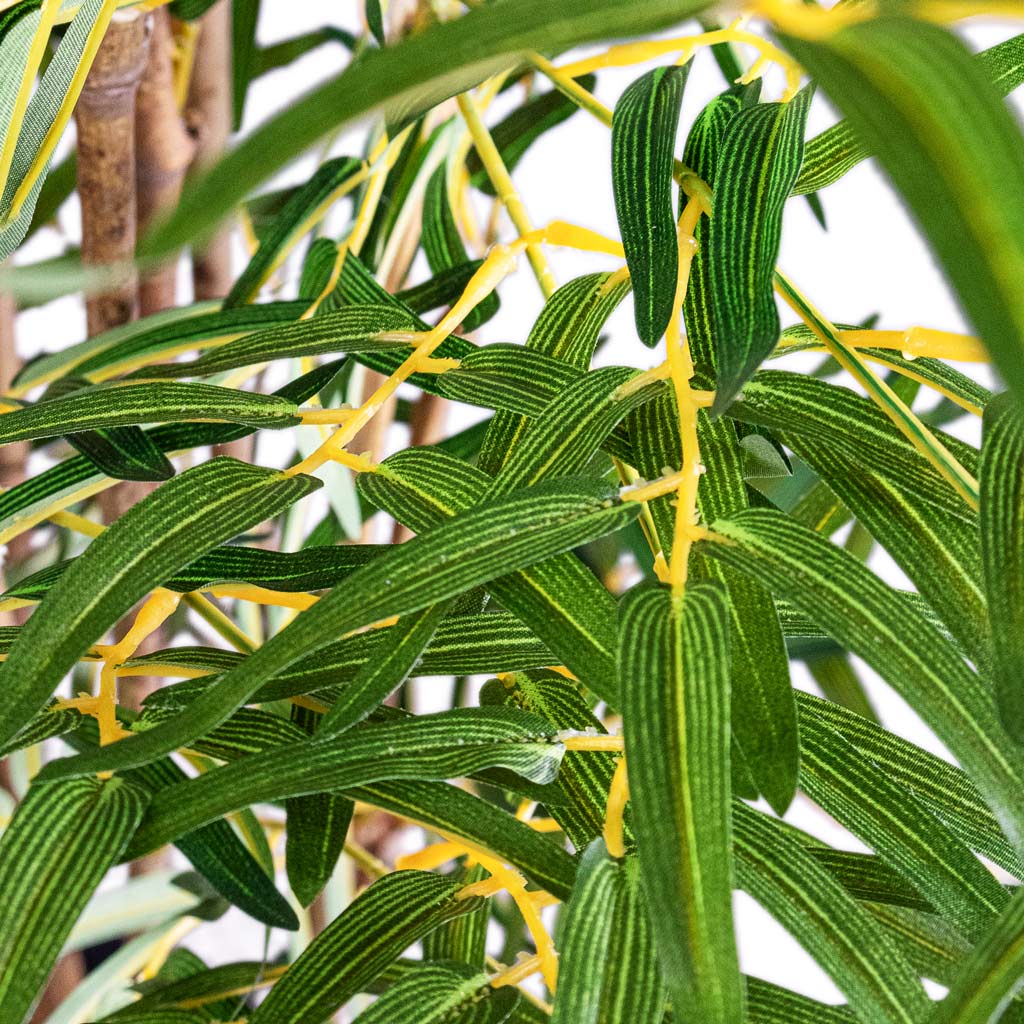 Bamboo Japanese Artificial Close Up Of Leaves
