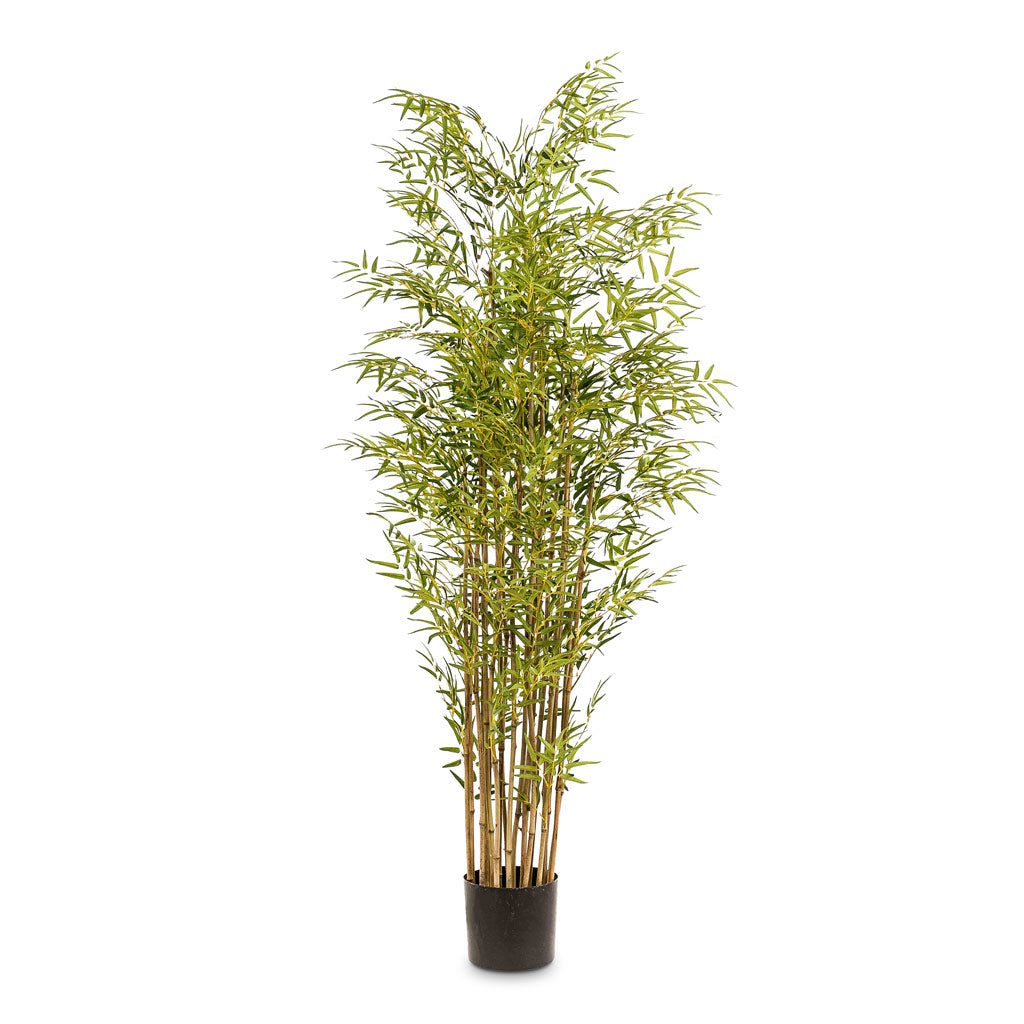 Bamboo Japanese - Artificial Plant - 180cm - (21 Stems)