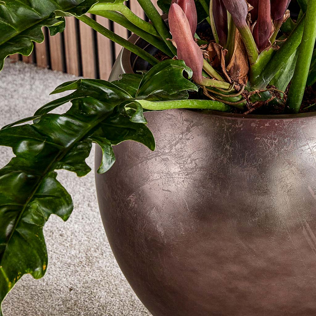 Metallic Globe Plant Pot - Matt Coffee & Philodendron