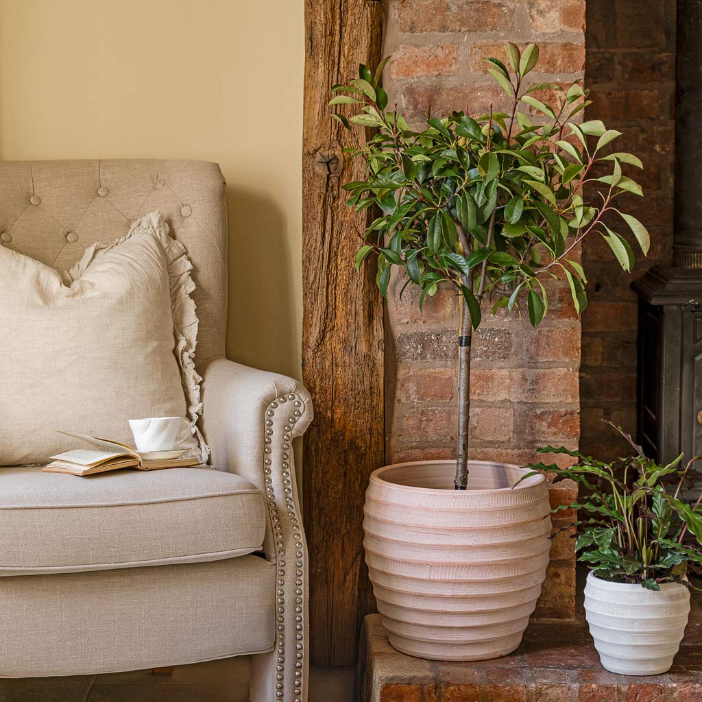 Beatrice Pot Terracotta - 35x35cm