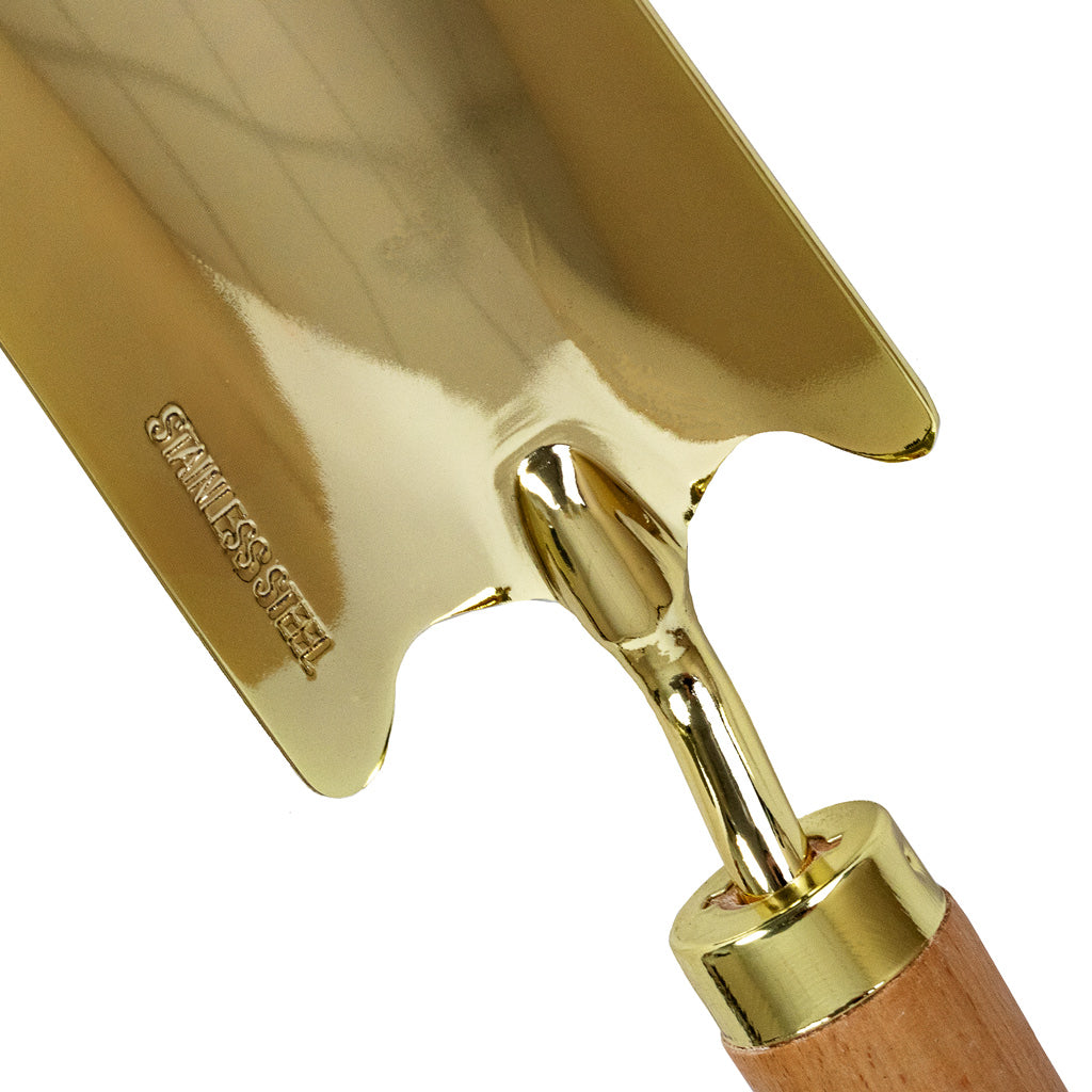 Beech Wood Trowel Gold Plated Stainless Steel Close Up