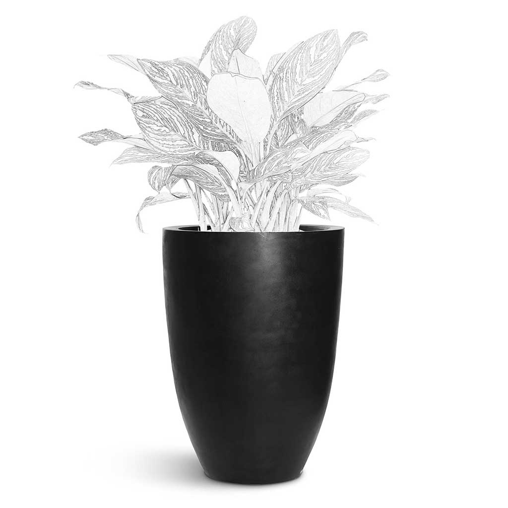 Ben Natural Planter - XL Plant Display