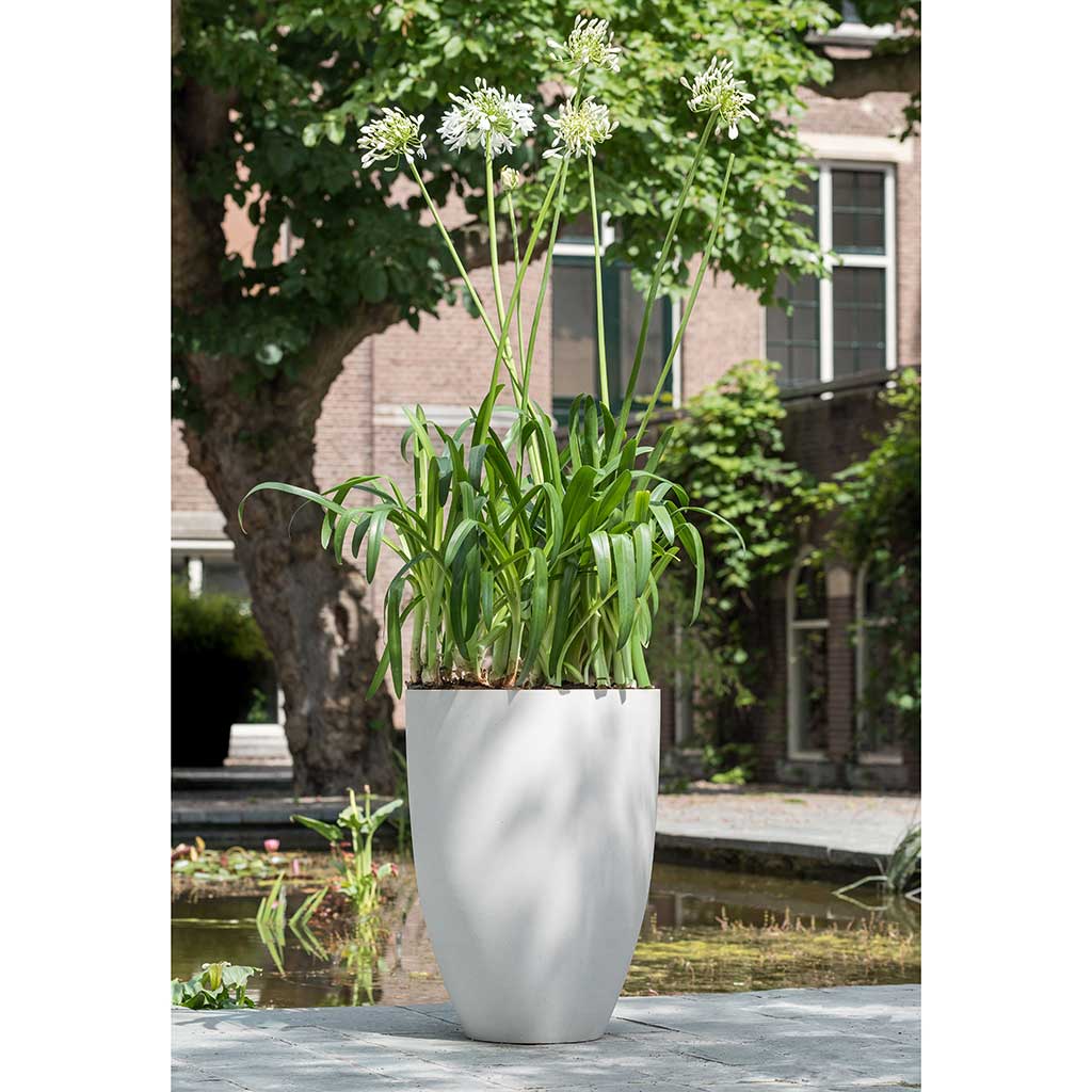 Ben Refined Planter - Natural White Large