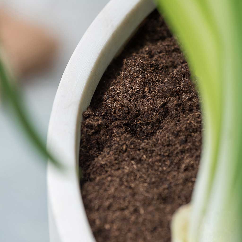 Ben Refined Planter Natural White Rim