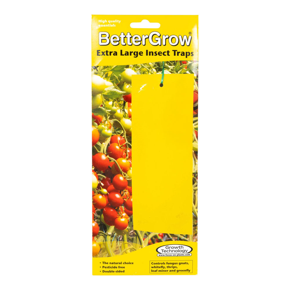 BetterGrow Houseplant Insect Traps - Non-Toxic | HORTOLOGY