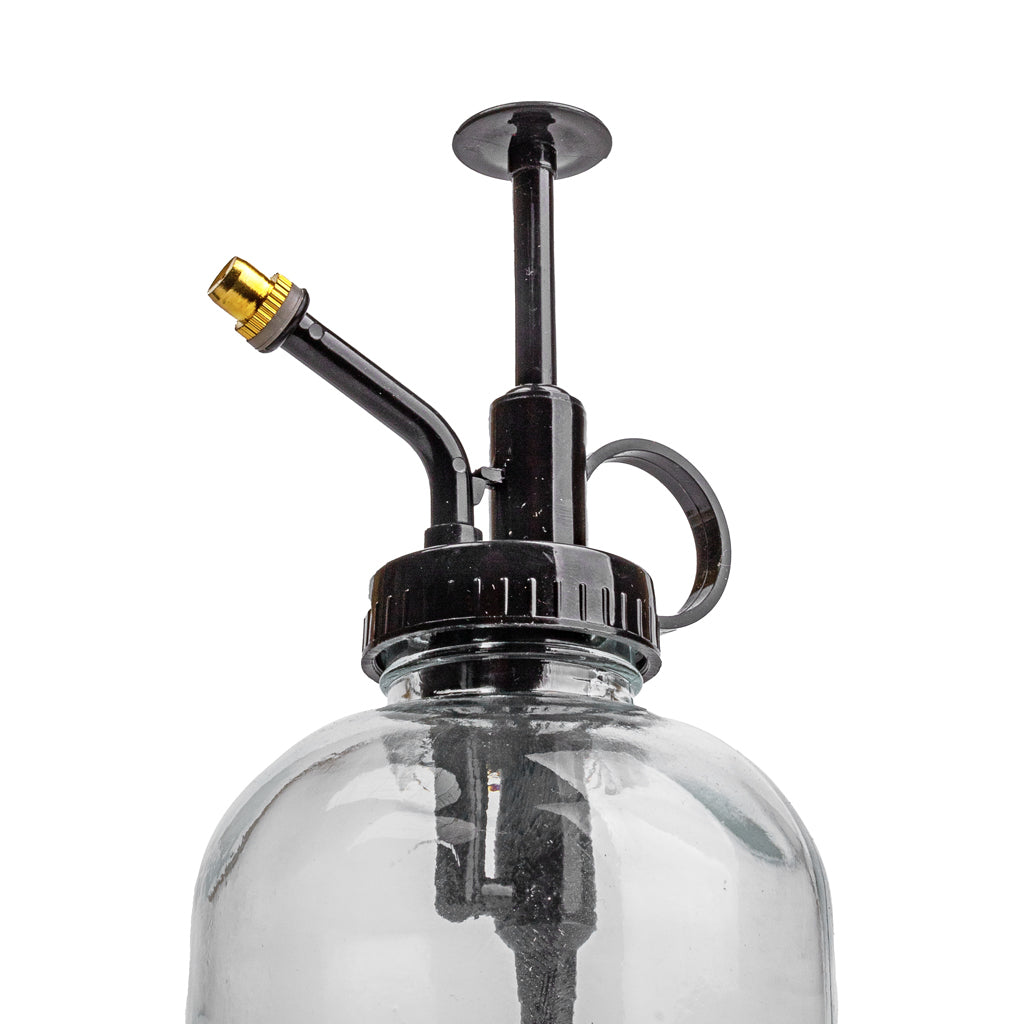 house plant atomiser Transparent Glass Black Top Houseplant Mister Atomiser | Hortology
